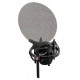 SE Electronics Isolation Pack - Shockmount & Pop Set подвес типа «паук» и поп-фильтр