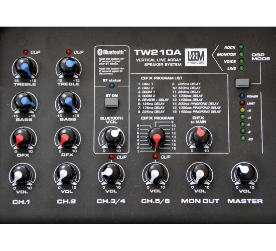 Leem TW210A Акустическая система и сабвуфер, 450Вт