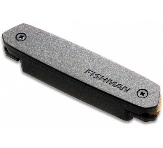 Fishman PRO-NEO-D02 Neo-D Гитарный магнитный звукосниматель хамбакер