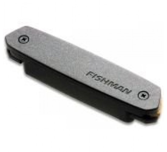 Fishman PRO-NEO-D02 Neo-D Гитарный магнитный звукосниматель хамбакер