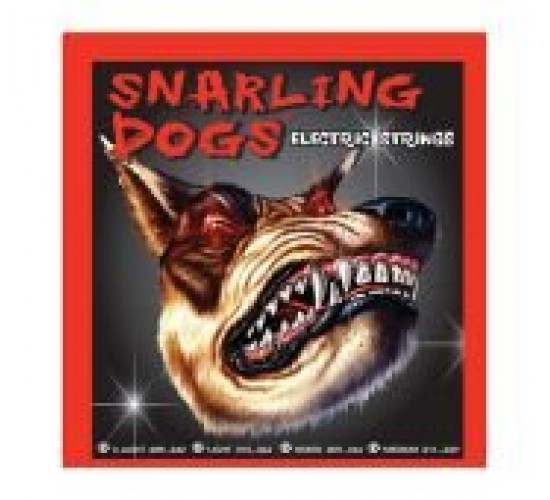 D'Andrea SDN09MB струны для электрогитары, серии Snarling Dogs (09-46)