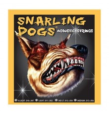 D'Andrea SDP10 струны для акустической гитары, Snarling Dogs, (10 -47), фосфорная бронза