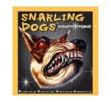 D'Andrea SDP10 струны для акустической гитары, Snarling Dogs, (10 -47), фосфорная бронза