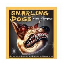 D'Andrea SDP10 струны для акустической гитары, Snarling Dogs, (10 -47), фосфорная бронза