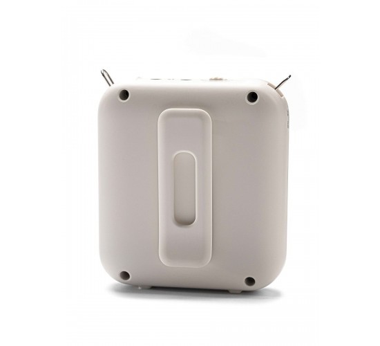 LAudio WS-VA058 Переносной громкоговоритель для гида, 5Вт
