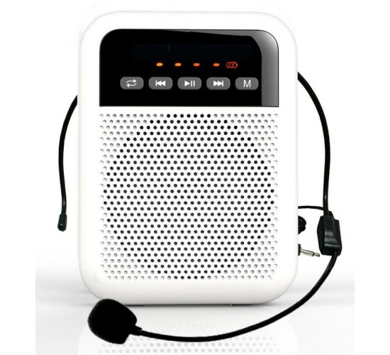 LAudio WS-VA030 Переносной громкоговоритель для гида, 5Вт