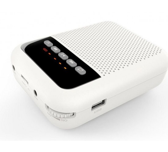 LAudio WS-VA030 Переносной громкоговоритель для гида, 5Вт