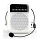 LAudio WS-VA030 Переносной громкоговоритель для гида, 5Вт