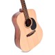 Ditson D-10 акустическая гитара