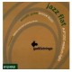 Galli Strings AJF1252 Комплект струн для акустической гитары, Италия