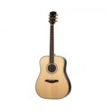 Parkwood P810ADK-WCASE-NAT Акустическая гитара, цвет натуральный, с футляром