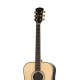 Parkwood P810ADK-WCASE-NAT Акустическая гитара, цвет натуральный, с футляром