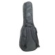 Proel BAG210PN чехол утеплённый для акустической и 12 стр. гитары, 2 кармана, ремни.