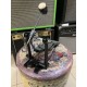Pearl DC-514N одиночная педаль для барабана USED