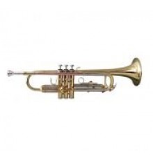 Soundsation STPGD-10 (S624S) Труба Bb
