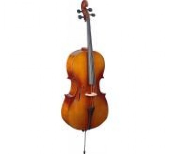 Stagg VNC-4/4 L Виолончель, размер 4/4