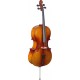 Stagg VNC-3/4 L Виолончель 3/4, с чехлом, смычком и канифолью