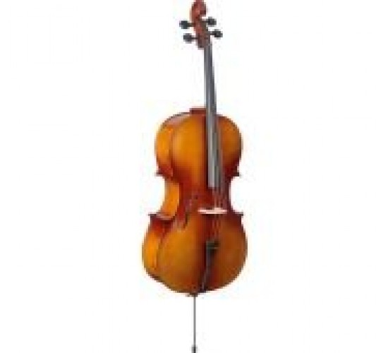 Stagg VNC-3/4 L Виолончель 3/4, с чехлом, смычком и канифолью