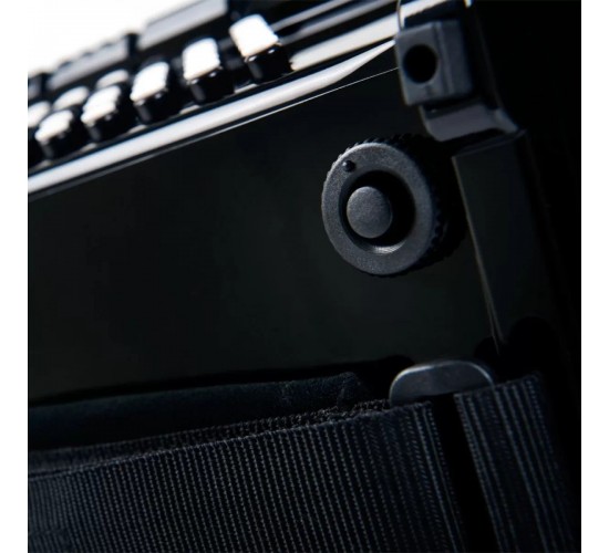 Roland FR-1X BK Цифровой аккордеон