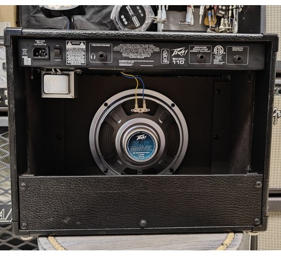 Peavey Envoy 110 гитарный комбоусилитель, 40 Вт USED