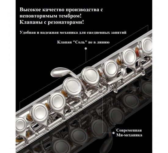 Eastar EFL-1S флейта, без резонаторов, Ми-механика, посеребренная, с аксессуарами