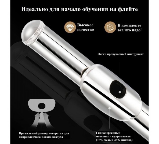 Eastar EFL-1S флейта, без резонаторов, Ми-механика, посеребренная, с аксессуарами
