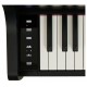 Casio Celviano AP-300BK цифровое пианино, 88 клавиш, чёрное