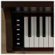 Casio Celviano AP-300BN цифровое пианино, 88 клавиш, цвет коричневый
