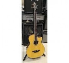 Crafter GAB24S/N электроакустическая бас-гитара, Корея USED