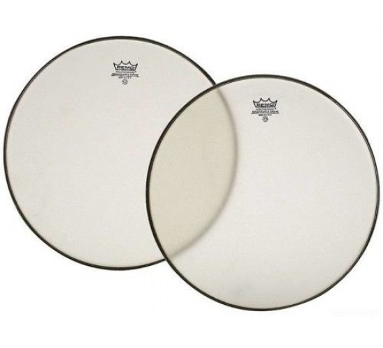Remo SA-0014-SS Ambassador 14