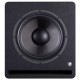 Prodipe PRO10SV4 Студийный сабвуфер активный, 150Вт, черное дерево