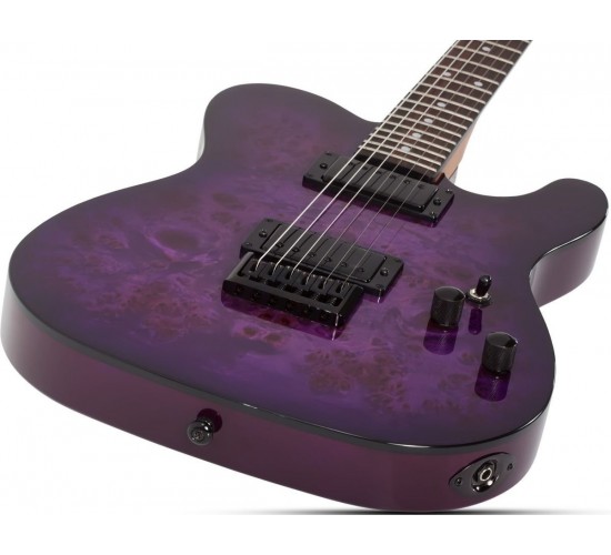 Schecter PT Standard PBB электрогитара, цвет Purple Burst Burl (фиолетовый)