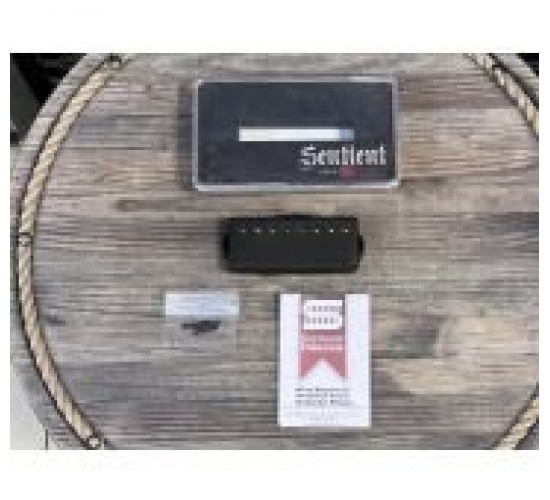 Seymour Duncan Sentient 8-String Humbucker Neck нековый хамбакер для 8-струнной электрогитары USED