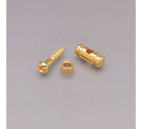 Gotoh RG-15-G Ретейнер для гитары, позолота