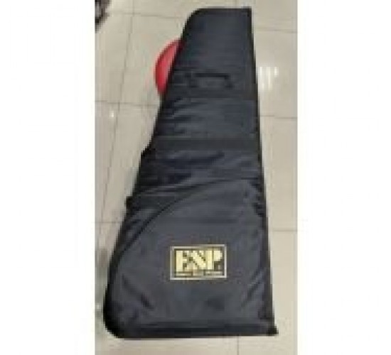 ESP чехол для электрогитары USED