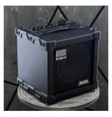 Roland CUBE-20XL Bass Комбоусилитель для бас-гитары, 20 Вт USED