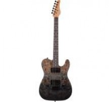 Schecter PT Standard BFBB электрогитара, цвет Black Fade Burst Burl