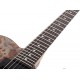 Schecter PT Standard BFBB электрогитара, цвет Black Fade Burst Burl