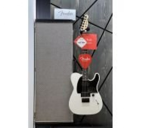 Fender Jim Root Telecaster Flat White электрогитара, Мексика, 2020 г USED