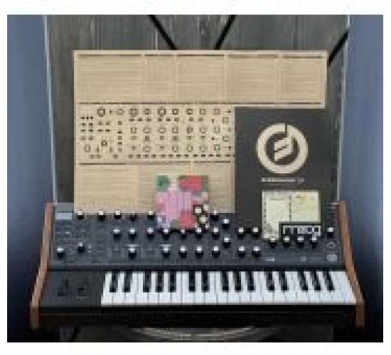 Moog Subsequent 37 Standard аналоговый синтезатор USED