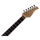 GTRS P800 Professional Dark Purple Электрогитара, цвет тёмно-фиолетовый