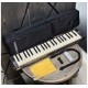 Hammond PRO-44HP мелодион, Япония USED