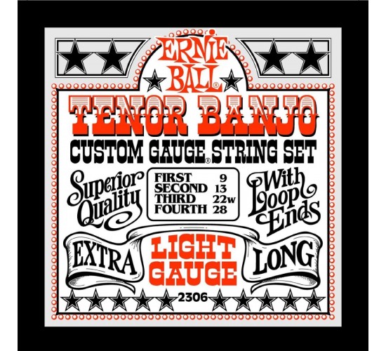 Ernie Ball 2306 струны для 4 стр. тенор банджо Stainless Steel Light (9-13-22w-28)