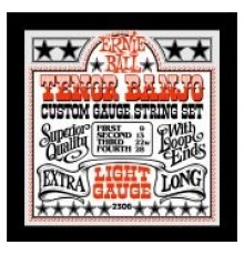 Ernie Ball 2306 струны для 4 стр. тенор банджо Stainless Steel Light (9-13-22w-28)