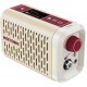 Hotone Pulze Mini Моделирующий мини усилитель
