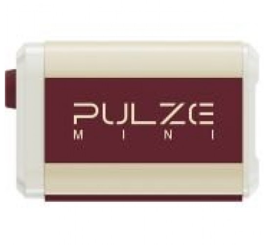 Hotone Pulze Mini Моделирующий мини усилитель