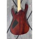 Ibanez RG421CW CNF электрогитара, цвет Charcoal Brown Flat USED