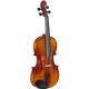 Stagg VL 3/4 лакированная скрипка 3/4