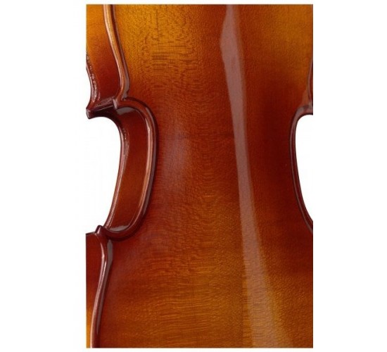 Stagg VL 3/4 лакированная скрипка 3/4