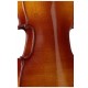 Stagg VL 3/4 лакированная скрипка 3/4